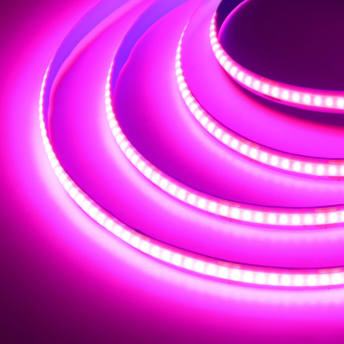 Pink COB LED strip