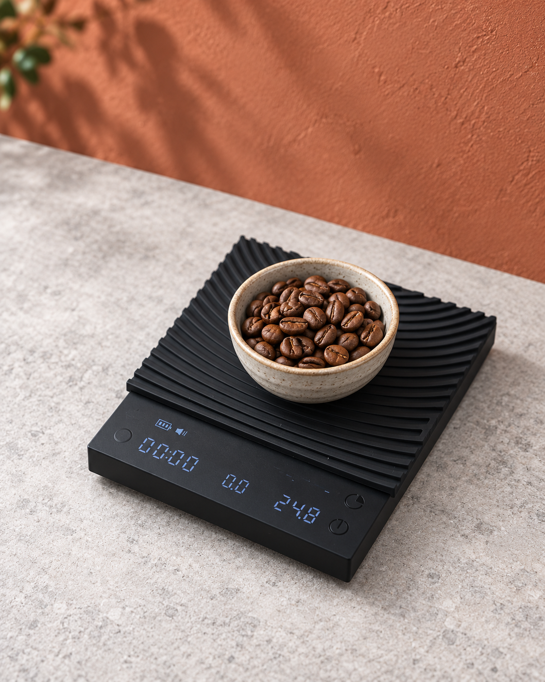 Coffee Scale with Timer