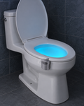 Motion-Sensor Toilet Bowl Light